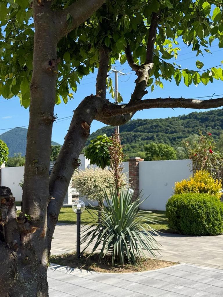 Bihać Family Estate Hadzalova Avlijaヴィラ エクステリア 写真